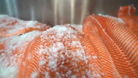 Closeup-of-industrial-salting-and-preparation-of-salmon-fish-fillets---Salt-falling-down-to-fish-in-slow-motion