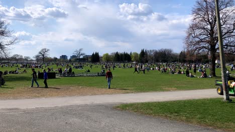 Males-playing-a-game-of-bocce-in-a-park-full-of-groups-of-families-enjoying-picnics-and-exercise