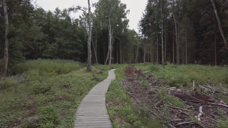 Walking-along-the-sidewalk-through-the-felled-forest-and-meadow-under-a-cloudy-sky