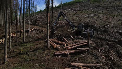 Wood-Harvesting-Vehicle-Processing-Tree-Log-At-Forestry-Industry-Site