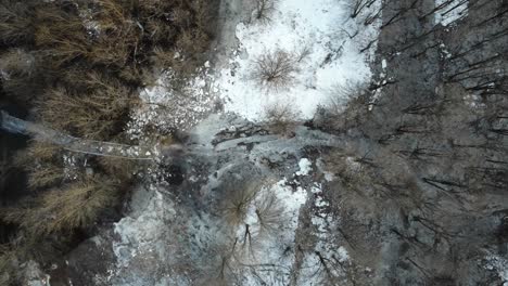 Ein-Weg-Im-Wald-Ist-Aufgrund-Eines-Flussüberlaufs-Zugefroren