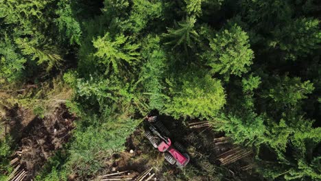 Top-down-view-of-Forest-harvester-at-work---processing-spruce-forest