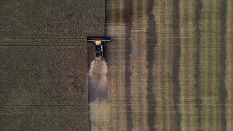 Aerial-drone-view-of-a-combine-harvester-from-above-working-hard-in-the-field-harvesting-rainfed-cereals-in-Alberta,-Canada