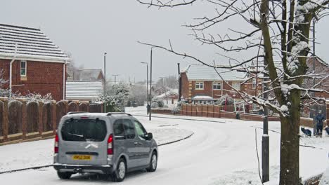 Car-traffic-and-pedestrians-with-dogs-on-snowy-street-during-snowfall