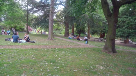 Stabilised-gimbal-shot-of-people-sitting-in-Sheffield-Botanical-Gardens,-England-surrounded-by-trees-and-nature