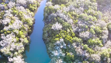 Aerial-view-of-river-surrounded-by-a-forest-in-Uruguay