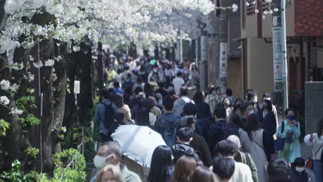Verstopfte-Straße-Mit-Vielbeschäftigten-Menschen,-Die-In-Der-Sakura-Saison-Während-Der-Covid19-Pandemie-In-Tokio,-Japan,-In-Der-Nähe-Des-Meguro-Flusses-Spazieren-Gehen