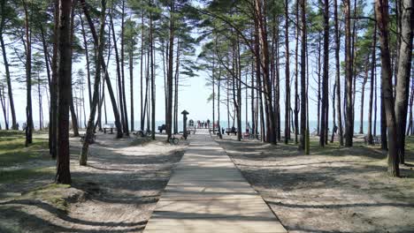 Walking-Towards-The-Dutchman's-Cap-View-Point-on-a-Sunny-Day