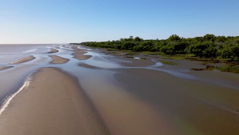 Aerial-tranquil-natural-landscape-capturing-the-unspoiled-riverbanks-and-coastal-woodland-in-Rio-de-la-Plata-in-El-Destino-natural-reserve-near-Magdalena-in-Buenos-Aires