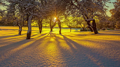 Timelapse-of-beautiful-golden-sunset-over-snow-covered-forest-floor