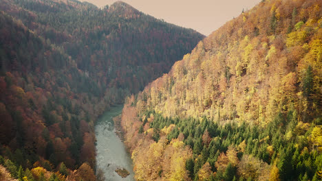 Aerial-reveal,-river-valley-with-orange-autumn-tree-foliage-surround-river-bank