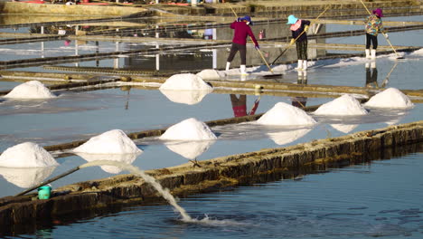 Vietnamese-skilled-womans-working-together-in-farm-for-salt-extraction-making-heaps-piles-of-white-fresh-natural-salt-nearby-the-saline-pond-harvested-by-raking