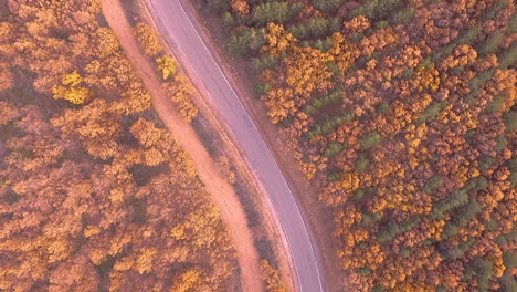 Top-Aerial-view-of-country-road-during-fall-with-beautiful-tree-colors-and-sunny-day