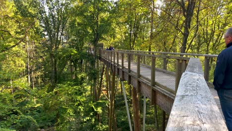 Hombre-Adulto-Viendo-árboles-Naturales-En-El-Puente-De-La-Vía-Del-Dosel-Durante-El-Día-Soleado---Toma-En-Cámara-Lenta---Atracción-Famosa-En-Orscholz,-Bucle-Saar,-Alemania