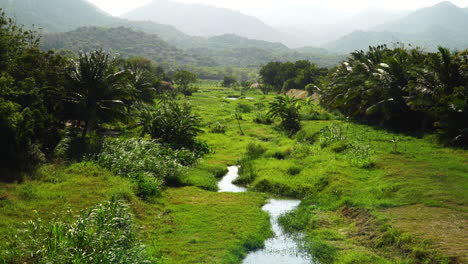 Tropical-landscape-scene-with-small-stream,-Vietnam