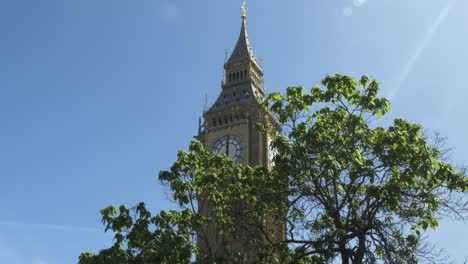 Newly-Renovated-Big-Ben-Seen-Through-Branches-Of-Tree-In-Westminster-Against-Clear-Blue-Sky-On-27-May-2022
