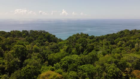 Aerial-shot-flying-over-a-tropical-forest-in-Osa-Peninsula,-Costa-Rica