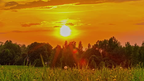 Landschaftsansicht-Eines-üppigen-Grünen-Feldes,-Das-Von-Bäumen-Begrenzt-Wird,-Unter-Einem-Farbenprächtigen-Sonnenuntergangshimmel