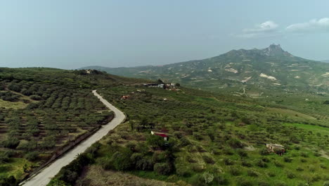 Panoramablick-über-Ackerland-In-Sizilien-Mit-Orangen--Und-Olivenhainen