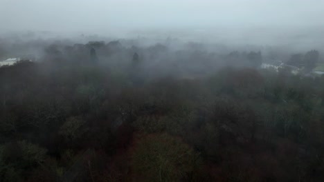 Epping-Forest,-Großbritannien,-Nebliger-Nebliger-Morgen,-Drohnen-Luftaufnahme