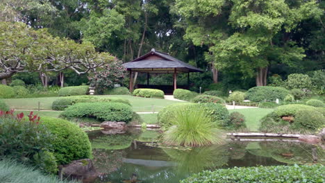 Digital-Zoom-Out-of-Small-Asian-Hut-in-Japanese-Inspired-Gardens-with-Large-Pond-filled-with-Koi-Fish,-Botanical-Gardens-Brisbane-Queensland-Australia
