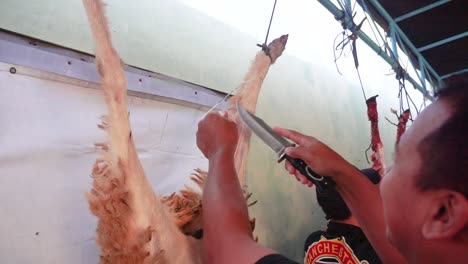 people-hand-skinning-goat-during-Eid-al-Adha-celebration-in-Magelang,-Central-Java,-July-10,-2022
