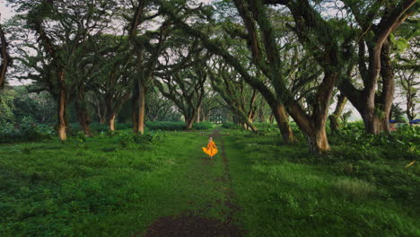 Blond-woman-in-orange-chiffon-dress-running-through-magical-De-Djawatan-forest