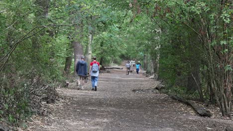 Slow-motion-of-couple-walking-with-a-dog-along-autumn-woodland-path-through-trees