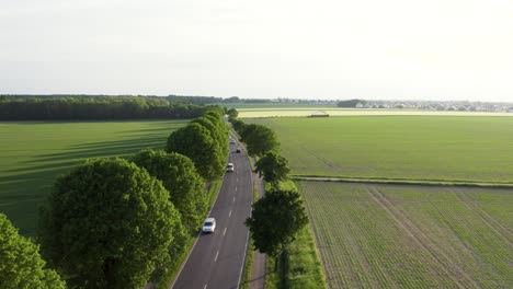 Aerial-view-drone-following-cars-on-the-road-through-rural-area-in-Brunswick