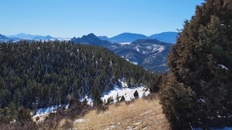 Colorado-Rocky-Mountain-Pine-Tree-Forest-with-Snow-Covered-Ground-over-Beautiful-Cold-Winter-Weather-Wilderness-Habitat