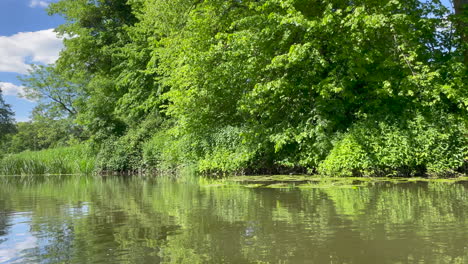 Langsame-Aufnahme-Entlang-Eines-Flusses-Im-Sommer,-Die-Das-üppig-Grüne-Flussufer-Zeigt