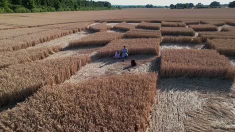 Aerial-drone-backward-moving-shot-of-a-man-and-woman-sitting-inside-a-crop-cricle-surrounded-by-a-ripe-wheat-field-on-a-summer-day-in-Micheldever-Station,-UK