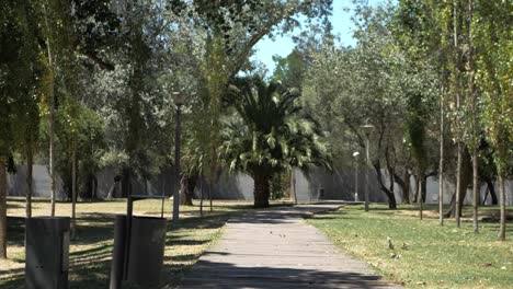 Walking-along-footpath-on-empty-public-park,-green-trees-aligned,-Slow-motion-tracking-in