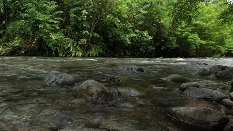 Low-shot-of-a-peaceful-river-in-the-islands-of-Papua-New-Guinea