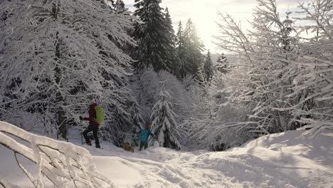 Two-skiers-and-their-dog-having-fun-in-a-snow-forest