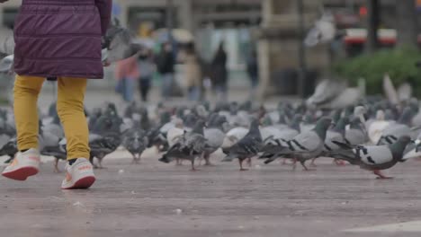 Child-lower-running-through-Slow-motion-city-life-flock-of-pigeons-bustling-on-pedestrian-pavement