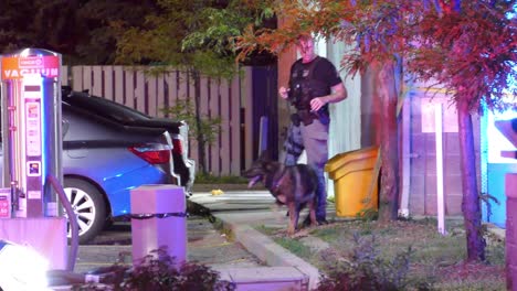 Polizist-Mit-Einem-K9-Hund-Und-Einer-Taschenlampe-Durchsucht-Nachts-Die-Gegend-Nach-Beweisen