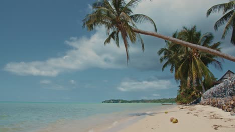 Paradise-white-sand-beach-view-in-midday-with-palm-trees-Blue-sky-and-tranquil-sea-water