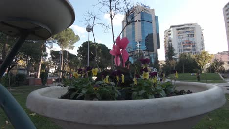 Pot-installation-with-blossoming-flowers