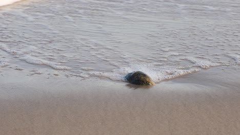 Wellen-Aus-Dem-Meer-überschwemmen-Naturstein,-Der-Im-Sand-Steckt
