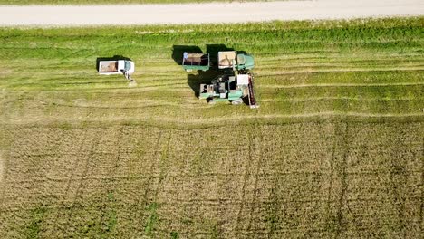 Aerial-view-of-a-green-vintage-combine-harvester-dumping-wheat-in-the-field-for-the-food-industry,-yellow-reap-grain-crops,-sunny-summer-day,-birdseye-revealing-shot-camera-tilt-up
