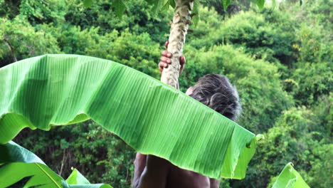 Un-Agricultor-Trepando-A-Mano-Un-árbol-De-Papaya-En-Una-Plantación