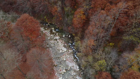 Fluss-Im-Bergwald-Mit-Roten-Und-Gelben-Bäumen-Herbstlaub-Luftbild