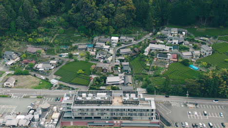 Luftaufnahme-Der-üppigen-Teeplantagen-An-Der-Straße-In-Kawane,-Tokio,-Japan