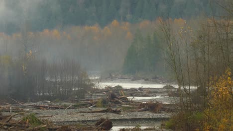 Natural-disaster-landscape,-woodland-with-log-debris,-Floods-in-Abbotsford,-British-Columbia