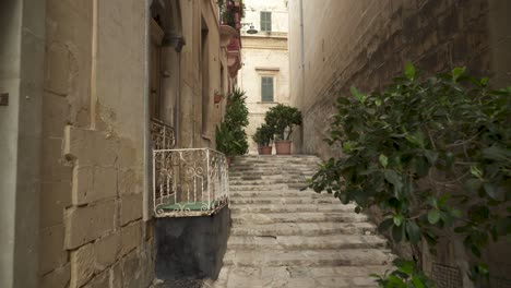 Climbing-Stairs-Made-From-Cobblestone-and-Plants-Planted-in-Pots-in-Birgu