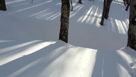 Wandern-Auf-Einem-Schneebedeckten-Pfad-Im-Wald-Mit-Sonnenlicht,-Das-In-Richtung-Baum-Scheint,-Ruhige,-Entspannende,-Unverschmutzte-Naturlandschaft