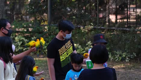 Familie-Mit-Masken-Beim-Füttern-Dieser-Schönen-Sittiche,-Während-Sie-Ihnen-In-Die-Hände-Fliegen,-Ein-Mädchen-Nutzt-Ihr-Handy,-Um-Ein-Paar-Fotos-Zu-Machen,-Zeit-In-Einem-Zoo-In-Einer-Voliere,-Sittiche,-Sonnensittich,-Aratinga-Solstitialis