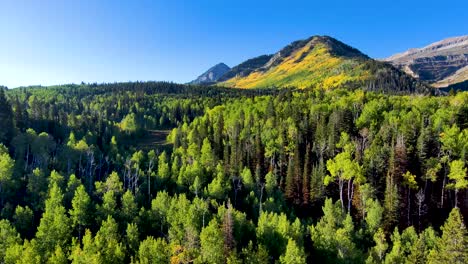 The-rugged-Rocky-Mountains-with-fall-colors-starting-to-show-in-the-aspens---sliding-parallax-aerial-view
