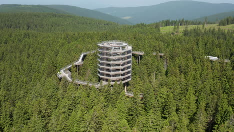 Blick-Auf-Den-Baumwipfelpfad-Pohorje-Im-Dicht-Bewaldeten-Berg-In-Rogla,-Slowenien